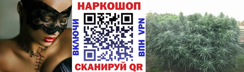 A PVP Менделеевск