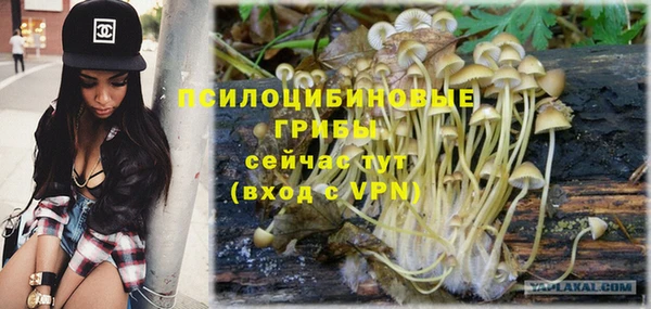 гидра Алзамай
