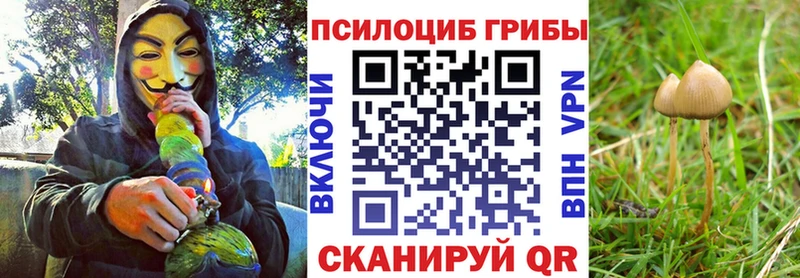Псилоцибиновые грибы Magic Shrooms  наркотики  mega ONION  Менделеевск 