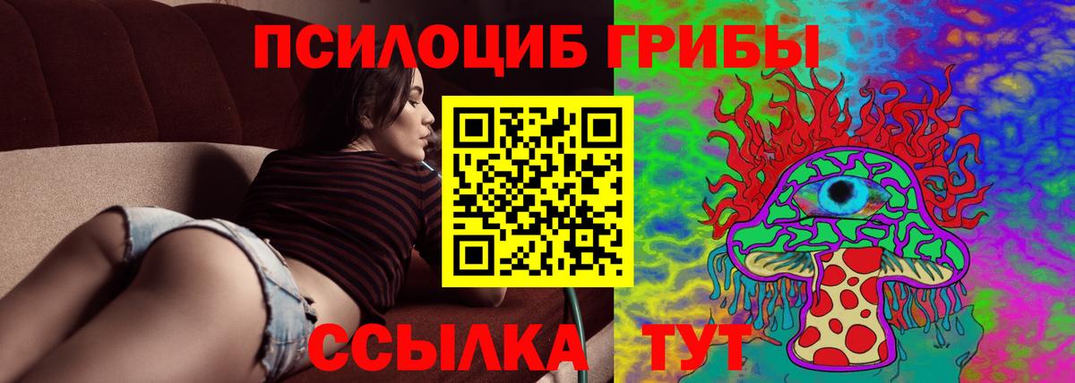 Менделеевск  купить наркотики сайты  Вход с VPN  Псилоцибиновые грибы GOLDEN TEACHER 