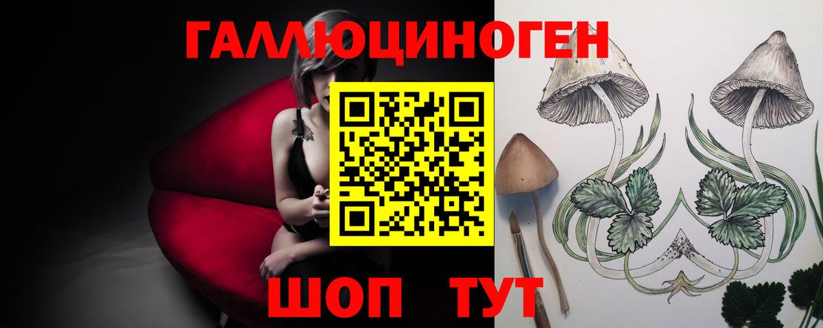 Псилоцибиновые грибы MAGIC MUSHROOMS Менделеевск